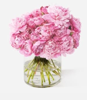 Fresh Peony (Limited Availibility) Flower Bouquet