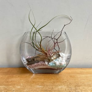 Seaside Airplant Terrarium Flower Bouquet