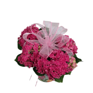 Pink Ruffled Hydrangea in Spring Tin Flower Bouquet