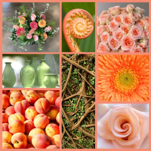 Peach Surprise - Specialty Flowers Flower Bouquet