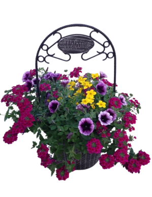 WELCOME PLANTER Flower Bouquet