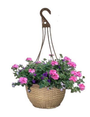 WEAVE HANGING BASKET Flower Bouquet