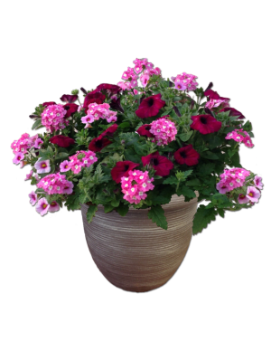 JUMBO COBBLE POT Flower Bouquet