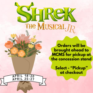 MCMS Shrek Play Wrapped Bouquet