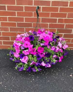 Hanging Basket Flower Bouquet