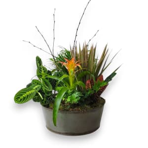 14" DISH GARDEN SEASONAL Flower Bouquet