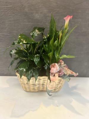 CALLA LILY PLANTER Flower Bouquet