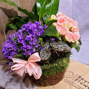 Lovely Blooming Dish Garden Flower Bouquet