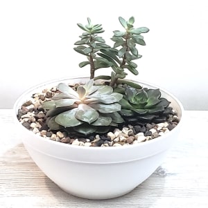 Succulent Serenity Planter Flower Bouquet