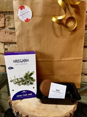 Everything You Need Seed Growing Kit - Oregano Flower Bouquet