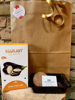 Everything you need seed kit - Eggplant Flower Bouquet