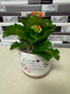 Mother's Kalanchoe Flower Bouquet