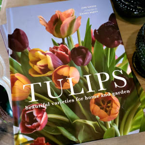 Tulips, Jane Eastoe (hardcover) Flower Bouquet