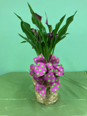 Calla Lily Basket Flower Bouquet