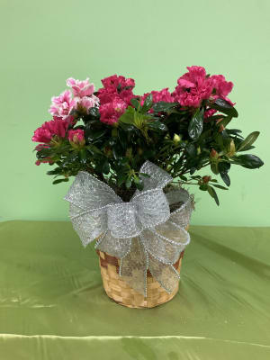 Azalea Basket Flower Bouquet