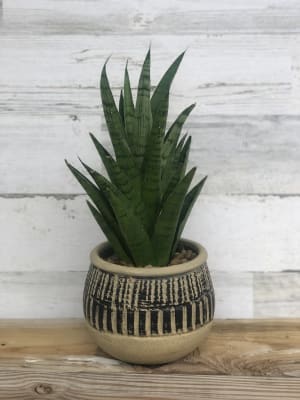 Decorative Sansevieria Flower Bouquet