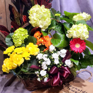 GENTLE BLOSSOMS PLANT BASKET Flower Bouquet