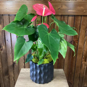 6" Giant Anthurium Flower Bouquet