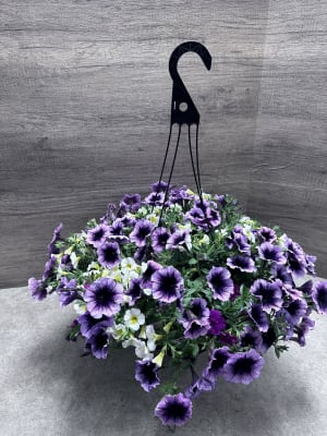 12 Inch Petunia Hanging Basket Flower Bouquet