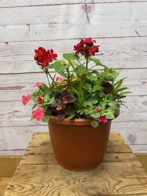 Planter with Blooming Annual Plants Flower Bouquet