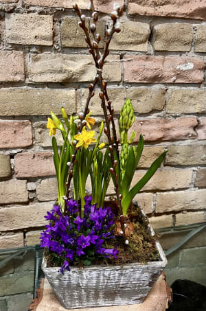 Flowering Bulbs in a Wood Planter Flower Bouquet