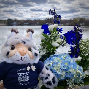 2024 Wildcat Bundle Flower Bouquet