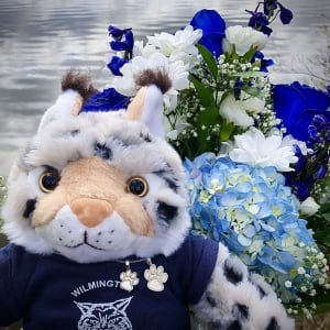 2024 Wildcat Bundle Flower Bouquet