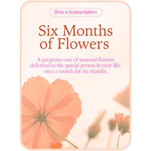 Bouquet of the Month Club (6) Flower Bouquet