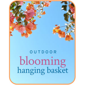 Outdoor Blooming Hanging Basket Plant Flower Bouquet