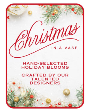 Designer's Choice Christmas in a Vase Flower Bouquet