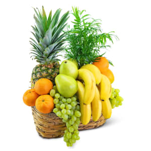 Green Goodness Fruit & Plant Basket Flower Bouquet