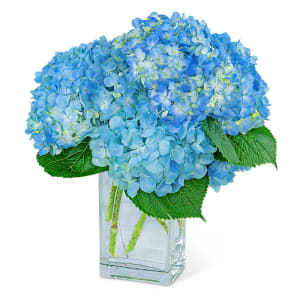 Hydrangeas In Blue Flower Bouquet