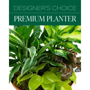 Designer's Choice Premium Planter Flower Bouquet