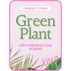 Designer's Choice Valentine's Day Green Plant Flower Bouquet