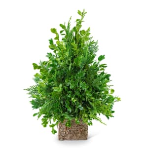 Boxwood Simplicity Tree Flower Bouquet