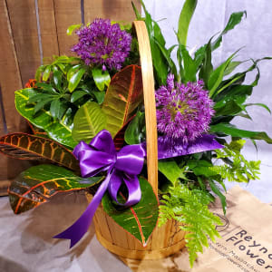 Basket Dish Garden Flower Arrangement Basket Dish Garden Flower Bouquet
