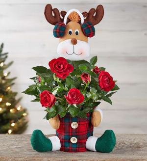 Red Rose Reindeer Flower Bouquet