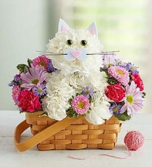 Feline Delight Flower Bouquet
