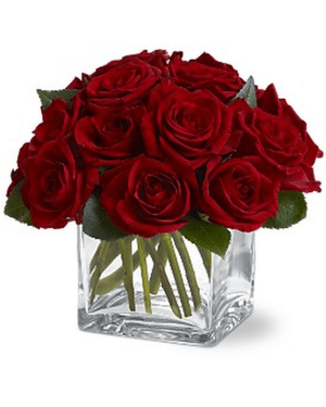 Teleflora's Dozen Rose Contempo Flower Bouquet