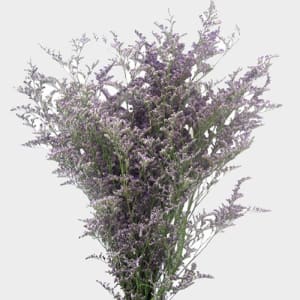 Limonium Flower Bouquet