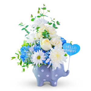 Little Elliot in Blue Flower Bouquet