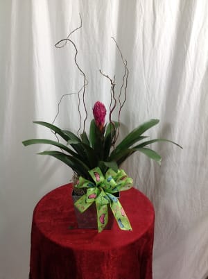 Bromeliad pink torch Flower Bouquet