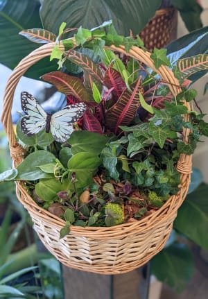 planter basket Flower Bouquet