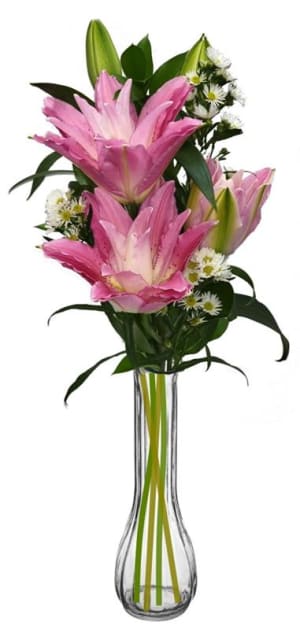 Stargazer Lily Bud Vase Flower Bouquet