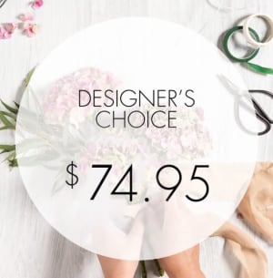 Designer's Choice