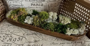 Preserved Moss Dough Bowl Flower Arrangement Preserved Moss Dough Bowl Flower Bouquet
