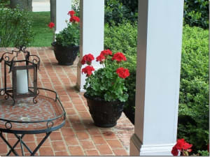 Red Geranium 10” porch pot Flower Bouquet