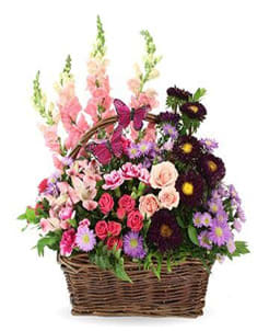 Butterfly Garden Flower Bouquet