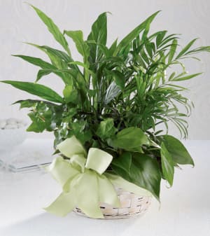 Woodland Greens Basket Flower Bouquet