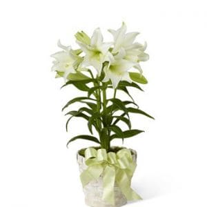 Easter Lily Flower Bouquet